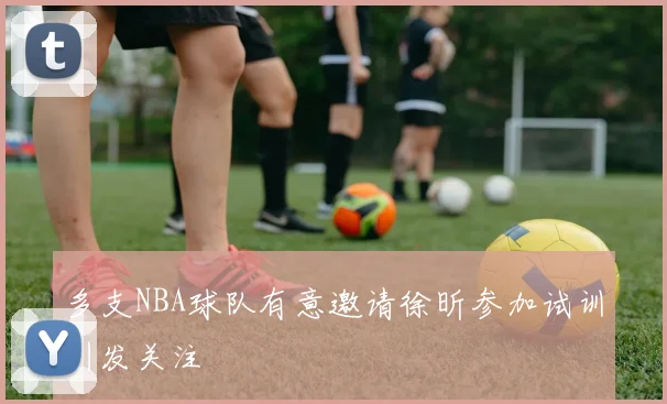 多支NBA球队有意邀请徐昕参加试训引发关注